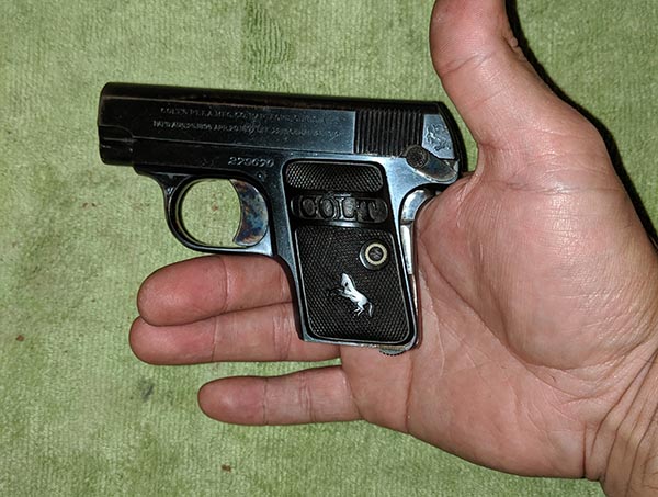 size of pocket pistol in palm of hand